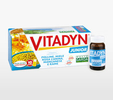 VITADYN JUNIOR Nutritional supplement 